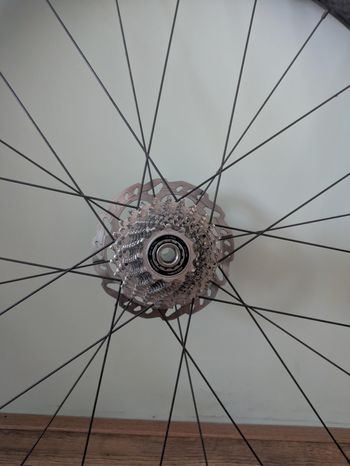 Used Fulcrum Ertro Race 28´ Aluminium Tubeless Ready 2021 bike — image 2 of 6