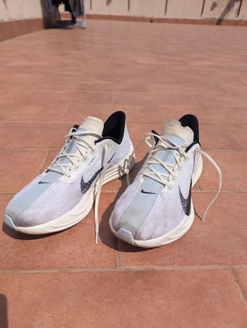 Nike, Pegasus Plus