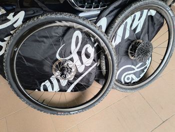 Campagnolo, Levante Gravel Wheelset
