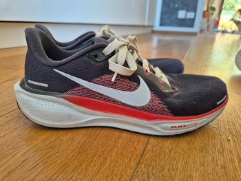 Nike, Pegasus 41