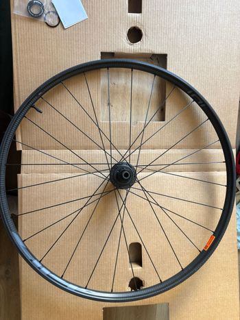 Zipp, 101 XPLR Rear Wheel