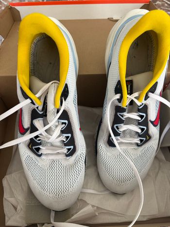 Nike, Pegasus 41