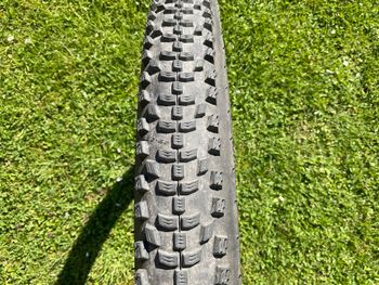 Used Schwalbe Smart Sam 29x2,36 2025 bike — image 5 of 5