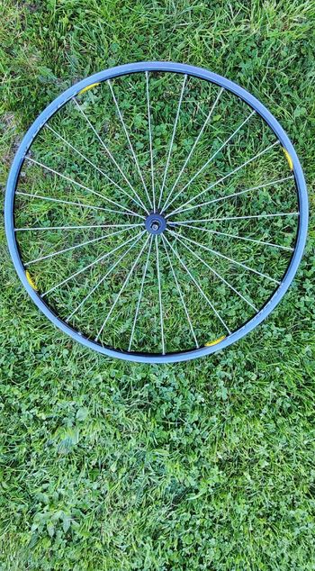 Used Mavic Cosmos Wheelset 2004 bike — image 4 of 4
