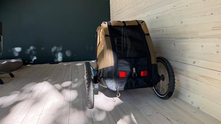 Used croozer DOG MIKKE 2025 bike — image 2 of 4