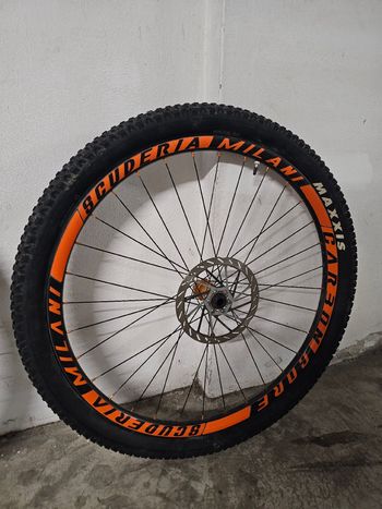 Used Carboncore - Damil Ruote MTB Carboncore-Damil 29" Boost 2024 bike — image 1 of 6