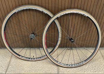 Campagnolo, Neutron