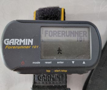 Garmin, Forerunner 101