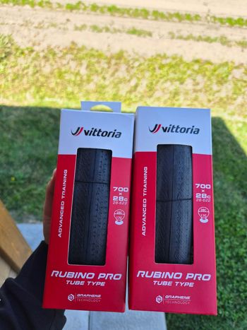 Used Vittoria Rubino Pro 2025 bike