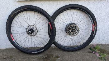 Chris King, Roues VTT 29 DTswiss moyeux