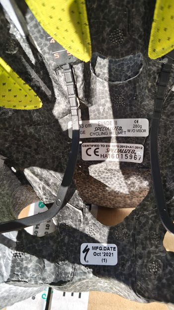 Used Specialized EVADE II Large Helmet bike — image 13 of 20