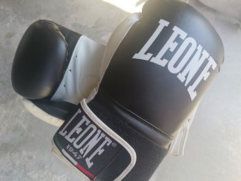 Leone 1947, Boxing Gloves