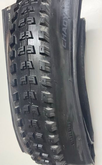 Used chaoyang Persuader Dry Tire 2026 bike — image 3 of 3
