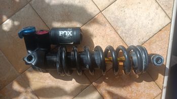 Fox, dhx2