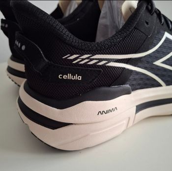 Used Diadora Cellula 2025 bike — image 2 of 9