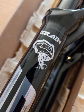 RockShox, SID Ultimate Brain