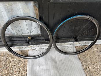 Reynolds, AR41 XDR