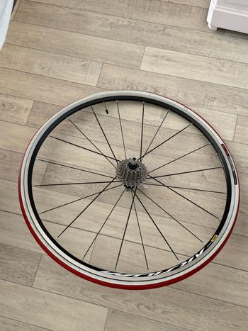 Used Elite Novo Force bike — image 3 of 4