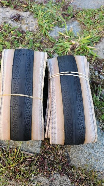 Vittoria, Rubino 700x32c
