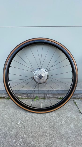 Used Shimano Disc Wheelset Aluminium with Ultegra Discs and 105 Cassette 2023 bike — image 3 of 6