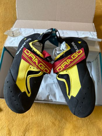 Scarpa, Drago