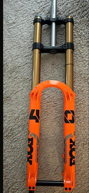 Fox, 40 29zoll Orange