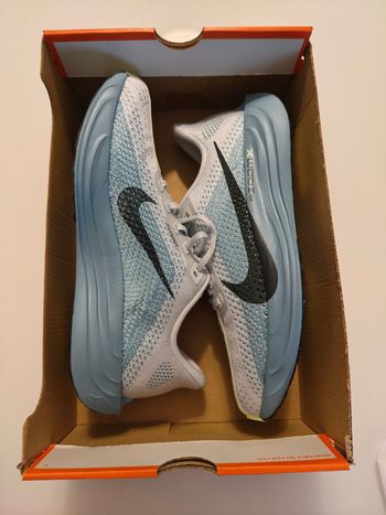 Nike, Pegasus Plus