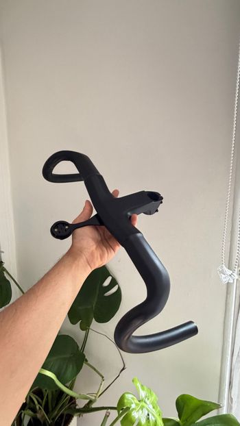 Rose, Handlebar
