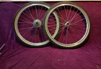 Ruote con gomme Ritchey Z-MAX su cerchi, campagnolo Contax e mozzi shimano XT