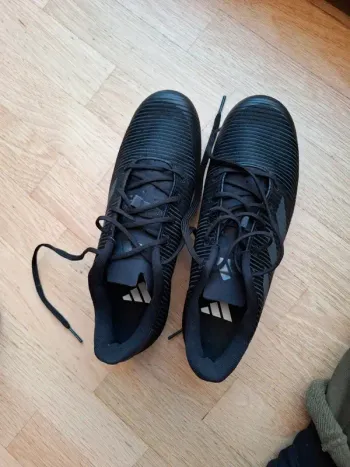 Adidas, The Road Shoe 2.0