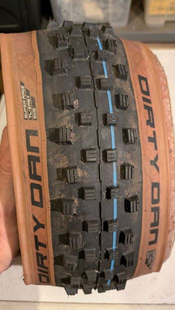 Schwalbe, Dirty Dan 29 2.2 Super Race