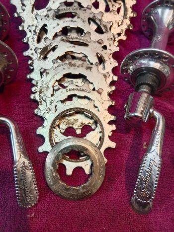 Used Mozzi completi Campagnolo Olympus 36 fori bike — image 2 of 10