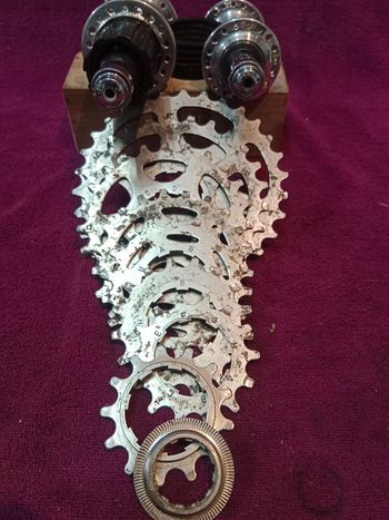 Used Mozzi completi Campagnolo Olympus 36 fori bike — image 8 of 10