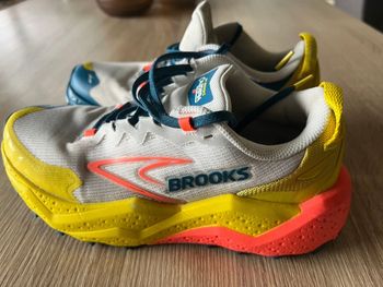 Brooks, Caldera 8