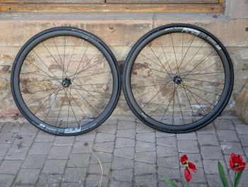 Dt Swiss, E 1800 SPLINE 30 db 12/100 mm