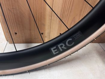 Dt Swiss, ERC LOG Classic 45 Wheelset