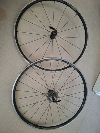 Giant, RD-M8100 12-speed