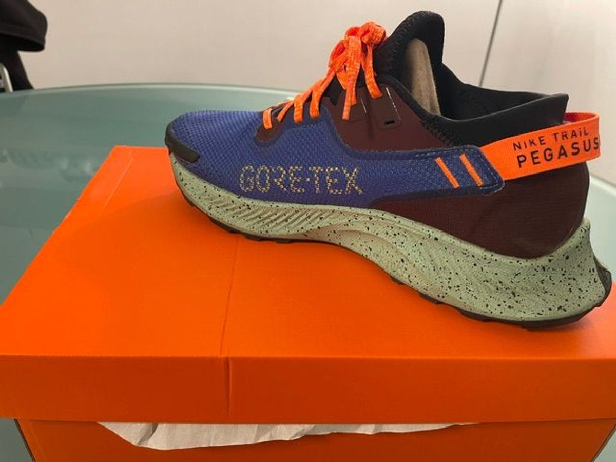 Nike Pegasus Trail 2 GTX 2021