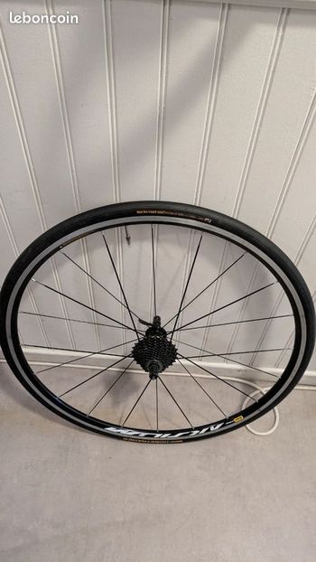 Continental, Hometrainer 700x23C / 23-622