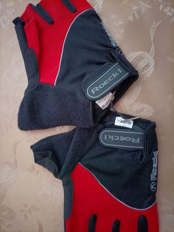 Used Roeckl L bike — image 1 of 4