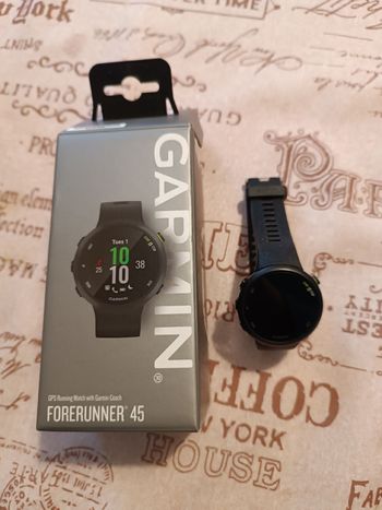 Garmin, Forerunner 45 GPS Watch
