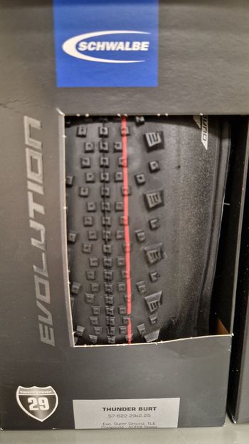 Used Schwalbe Thunder Burt bike — image 1 of 2