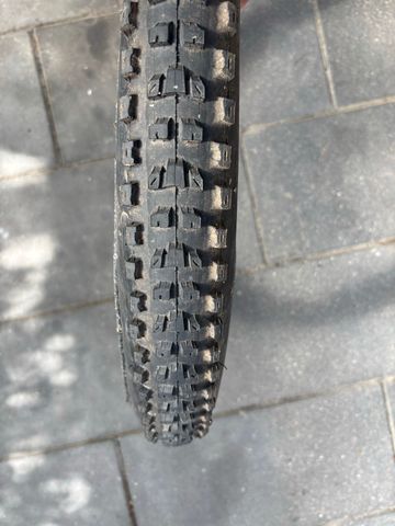 Tweedehands Maxxis Tire 2025 bike — afbeelding 3 van 3