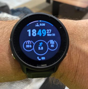 Garmin, Forerunner 955