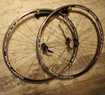 Most, Wildcat Wheelset Campagnolo ED