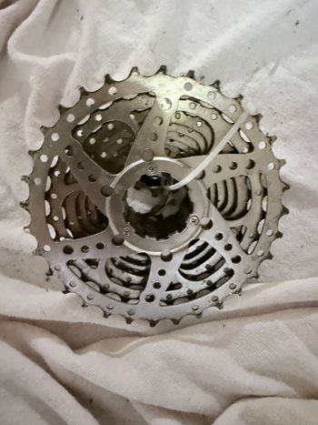 Used Sunshine HG 11-speed Cassette 11-32T 2024 bike — image 2 of 4