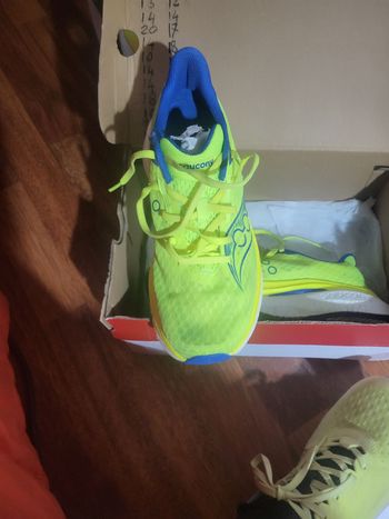 Used Saucony escarpe podismondorfin sped 5 2026 bike — image 3 of 3