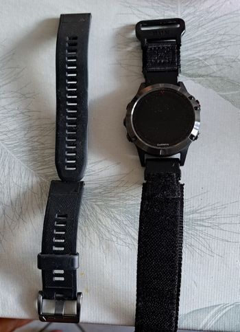 Garmin, Smartwatch fenix 5