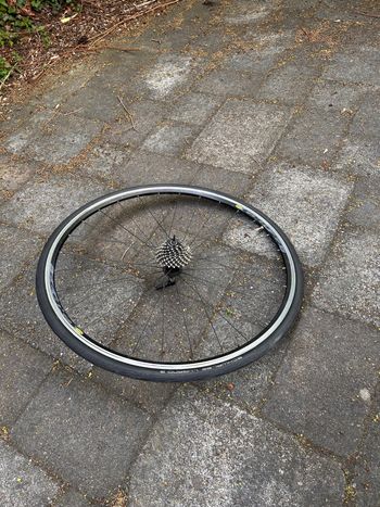 Mavic, CXP 22 Rim
