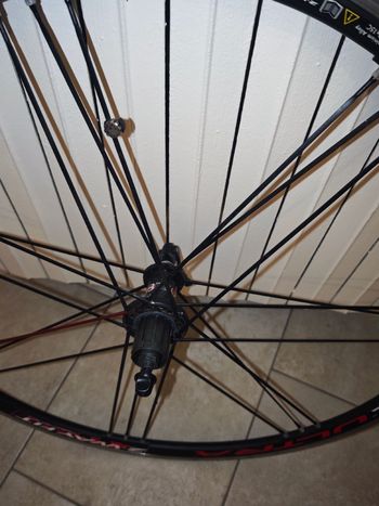 Campagnolo, Shamal